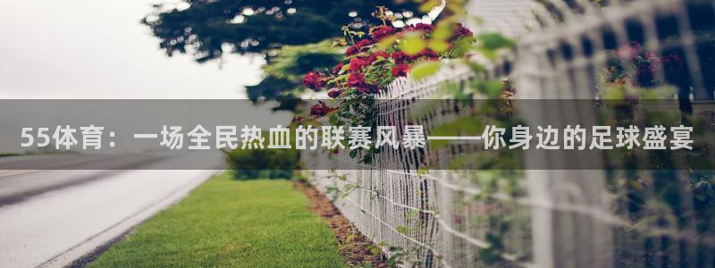55体育：一场全民热血的联赛风暴——你身边的足球盛宴