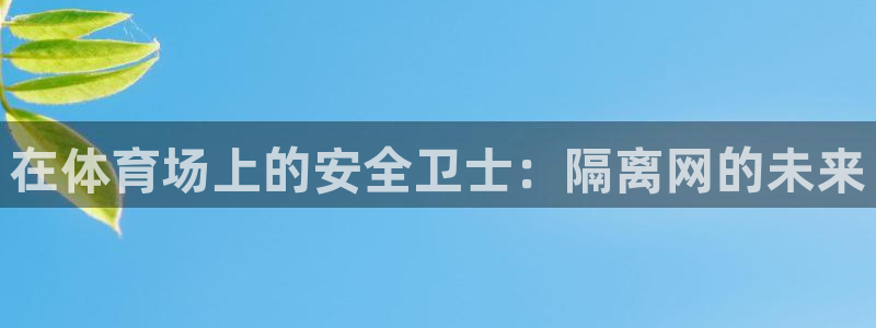 在体育场上的安全卫士：隔离网的未来