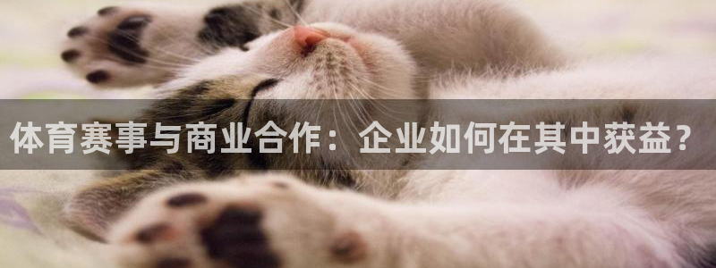 体育赛事与商业合作：企业如何在其中获益？