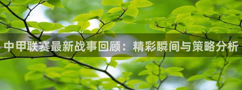 中甲联赛最新战事回顾：精彩瞬间与策略分析