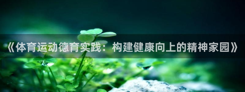 《体育运动德育实践：构建健康向上的精神家园》