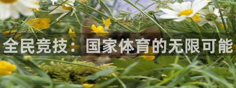 全民竞技：国家体育的无限可能