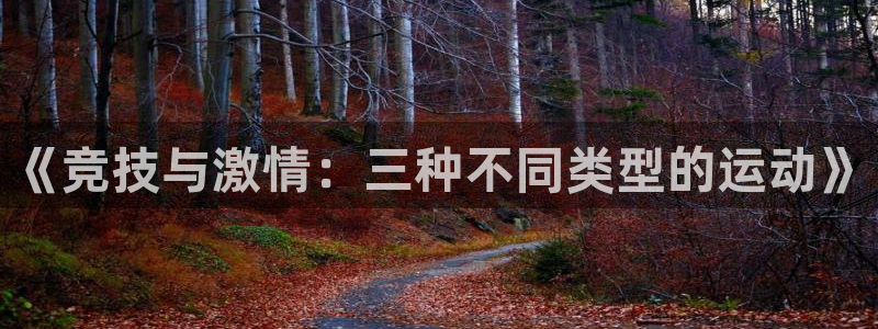 《竞技与激情：三种不同类型的运动》