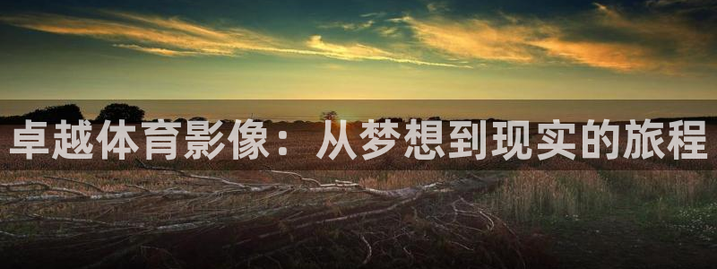 卓越体育影像：从梦想到现实的旅程