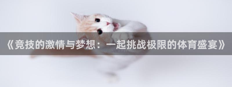 《竞技的激情与梦想：一起挑战极限的体育盛宴》