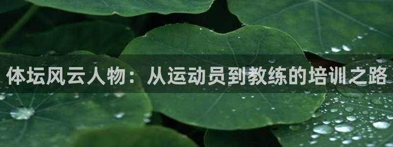 体坛风云人物：从运动员到教练的培训之路