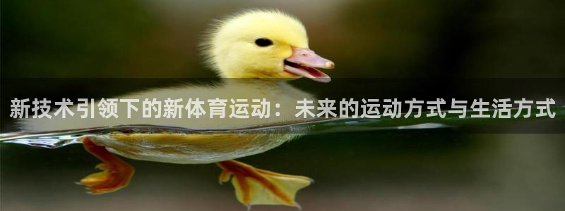 新技术引领下的新体育运动：未来的运动方式与生活方式
