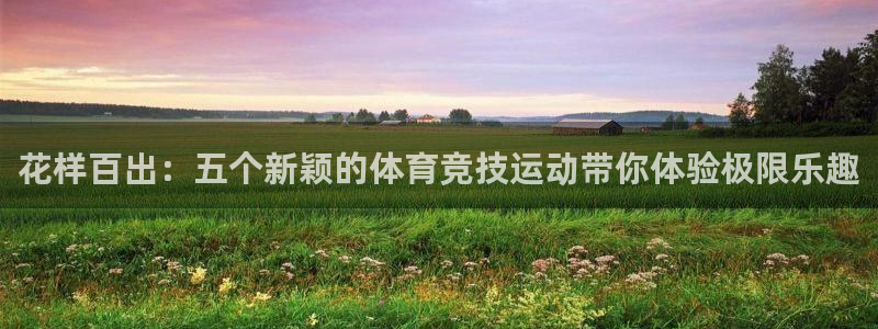 花样百出：五个新颖的体育竞技运动带你体验极限乐趣
