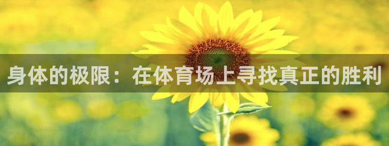 身体的极限：在体育场上寻找真正的胜利