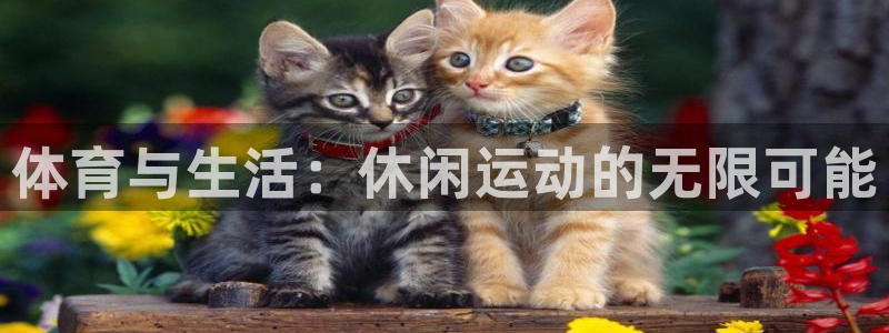 体育与生活：休闲运动的无限可能