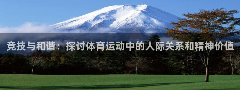 竞技与和谐：探讨体育运动中的人际关系和精神价值