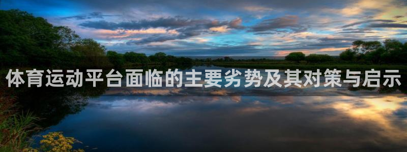 体育运动平台面临的主要劣势及其对策与启示