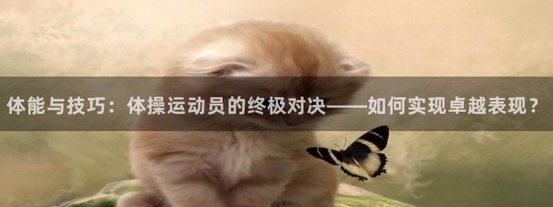 体能与技巧：体操运动员的终极对决——如何实现卓越表现？