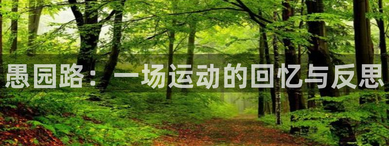 愚园路：一场运动的回忆与反思