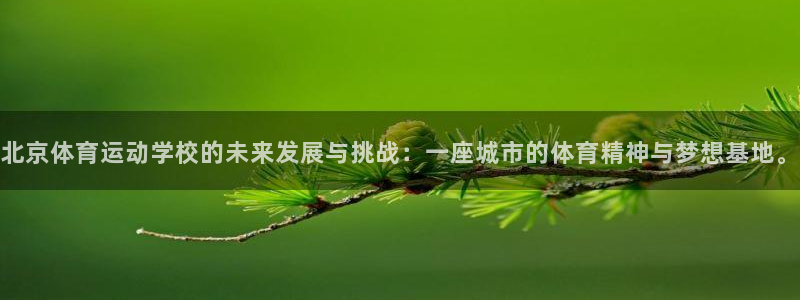 北京体育运动学校的未来发展与挑战：一座城市的体育精神与梦想基地。